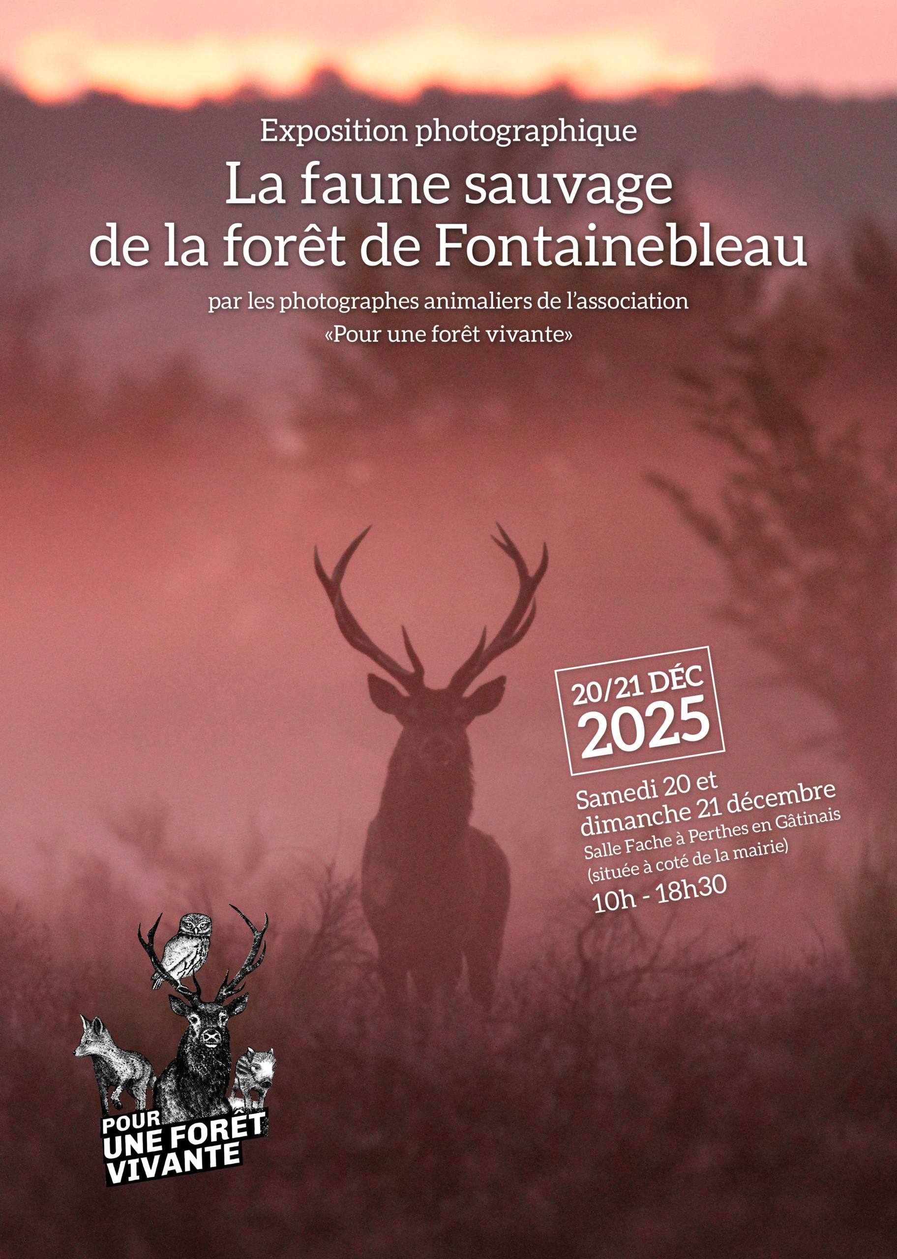 Exposition photographique "La faune sauvage de la forêt de Fontainebleau" @ Salle polyvalente Raymonde Fache